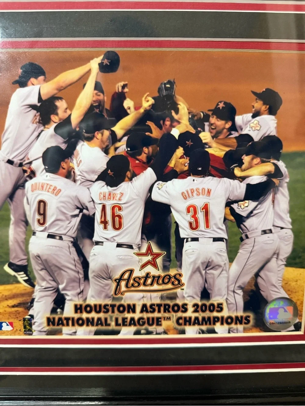 2005 Champions Framed Photo Plaque - Black/Red Houston Astros